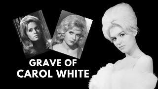 Carol White: The Battersea Bardot - Kitchen Sink Drama to Hollywood!