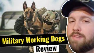 The Fat Electrician Reviews: Military Working Dogs