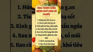 Bí Quyết Giữ Gìn Sức Khỏe Toàn Diện | Sức khỏe vàng #ChămSócSứcKhỏe #BảoVệSứcKhỏe #SốngKhỏeMỗiNgày