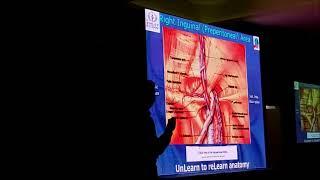 Endoscopic Anatomy of Inguinal Region