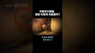 여왕장수말벌, 정말 이렇게 위험할까? | 리얼다큐 숨