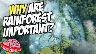 Why are rainforests important?