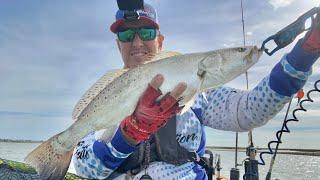 Z Man Diesel Minnow Speckled Trout on 