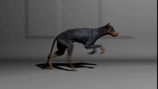 Dog Run Cycle WIP - By: Jeremy Dilks