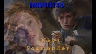 Newt Scamander _ Born For This