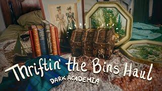 Amazing BINS Haul! - Goodwill Outlet Dark Academia & Whimsigoth Thrift Finds! 