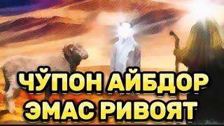 СУЛАЙМОН АЛАЙХИССАЛОМ ВА ДЕХҚОН РИВОЯТ (Шухратжон Домла)