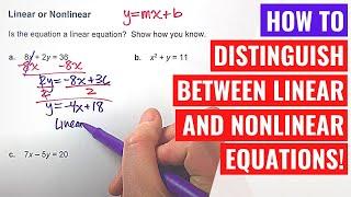 Identifying Linear and Nonlinear Equations