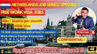 How to Get Jobs in Netherlands | Free Visa Sponsorship | Confidential | Vacancy in Europe #trending