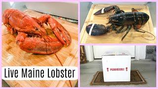 HOW TO COOK & EAT A FRESH MAINE LOBSTER