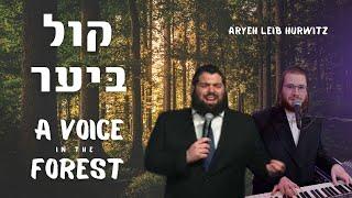 A Voice in the Forest - Kol Bayar