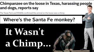 The 2019 Bigfoot Sighting Spree in Santa Fe Texas That No One Talks About