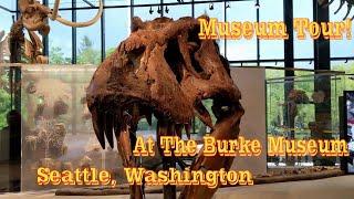 Burke Museum Guided Tour