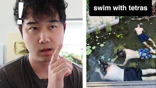 They turned their POOL into an AQUARIUM | Fish Tank Review 265