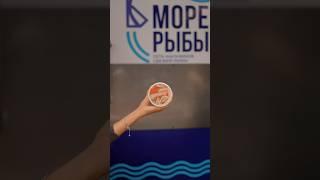 Морской коктейль  #морепродукты #морерыбы