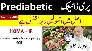 PreDiabetes or Insulin Resistance Treatment – 2024  | Lecture 486