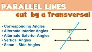 Parallel Lines cut by a TRANSVERSAL | Ms Rosette