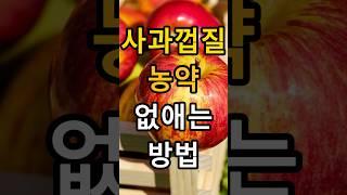 사과껍질 농약 씻는 방법(물,식초,소금,세제)