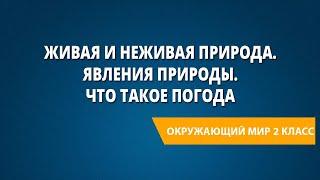 Живая и неживая природа. Явления природы. Что такое погода