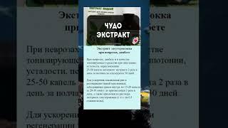 Экстракт элеутерококка