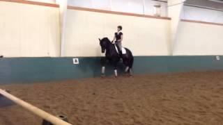 Allison Dechant and Rufus, Bent Jensen Clinic