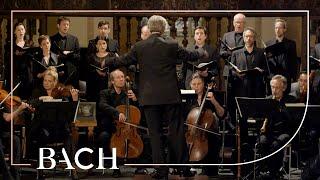 Bach - Magnificat anima mea from Magnificat BWV 243 | Netherlands Bach Society