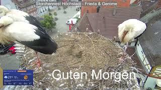 2024 07 10 Storchennest Höchstadt, Gewitter stehen rund rum, bei mir ist es schon trüber️️️️️