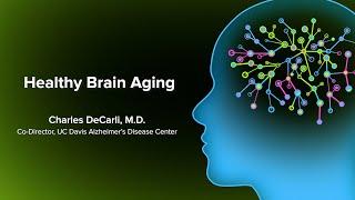 Healthy Brain Aging - What You Can Do to Improve Your Brain Health