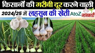 Lahsun ki khetiलहसुन की खेतीA to Z जानकारी | Lahsun ki kheti kab aur kaise karen ‍Garlic farming