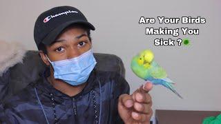 Health Risks Owning birds