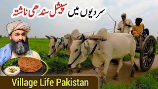 Village Life Pakistan | Desi Life Vlog Sindh | Daily Village Life Routine In Nawabshah