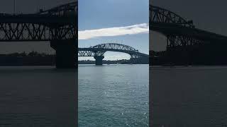 Harbour bridge view 