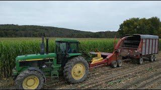 Chopping Corn Silage