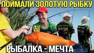 Поймали карпа кои . Рыбалка на карпа в жару. Карпфишинг.