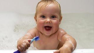 Как чистить зубки малышам  - потешка