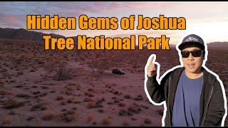 Hidden Gems of Joshua Tree - First Time Disperse Camping