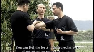 Wing Chun Practice