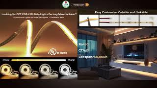 VST Lighting(VSTLED.COM) at IWF 2024 International Woodworking Fair Atlanta