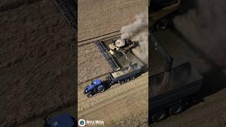 New Holland CR11 Combine. Größter Mähdrescher der Welt ? Neue Video auf YouTube #farming #Ernte2024