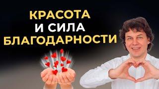 Красота и сила благодарности  #благодарность  #счастье