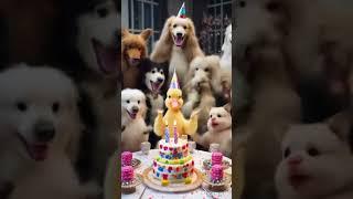 귀염뽀짝 오리 생일파티에 동물 친구 총출동 Duck’s Birthday Party
