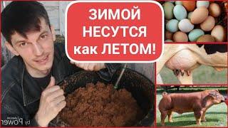 ДРОЖЖЕВАНИЕ по рецепту ЛУЧШЕГО ЗООТЕХНИКА СТРАНЫ// ДЛЯ КУР, УДОЕВ и ПРИВЕСОВ