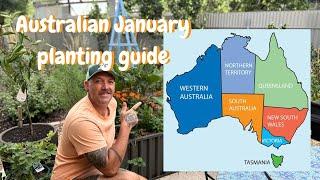 What Veggies you can plant in JANUARY in AUSTRALIA.