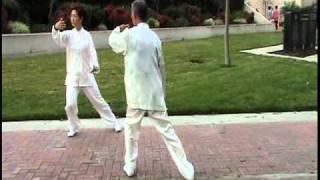 Two people mirror Tai Chi form 8