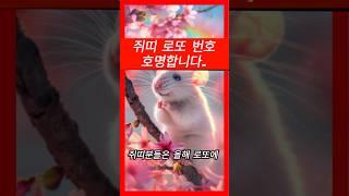 쥐띠 로또 번호 호명합니다.