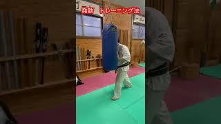 【発勁】一人でもすぐに上達できる発勁の練習方法！！　#aikido ＃karate #martial #合気道 #武道 #空手＃筋トレ＃腕立て＃push-up