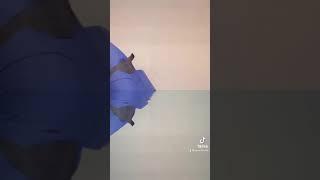 Pirate Shark #Tiktok#Funny#Ayden’sfunchannel
