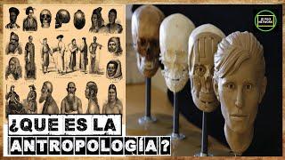 ¿Que es la antropología?¿Qué estudia la antropología? Conoce sus aplicaciones y campo laboral️