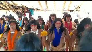 patrimônio cultural mulheres Waurá Xingu MT - Kaji Waurá