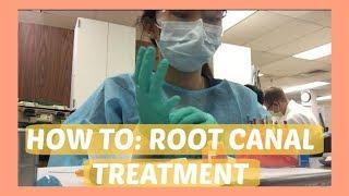 What the Heck is a Root Canal?! || Brittany Goes to Dental School